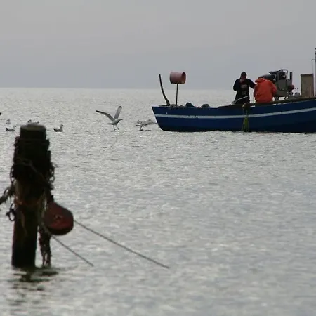 Strandhus - House 2 Appartement