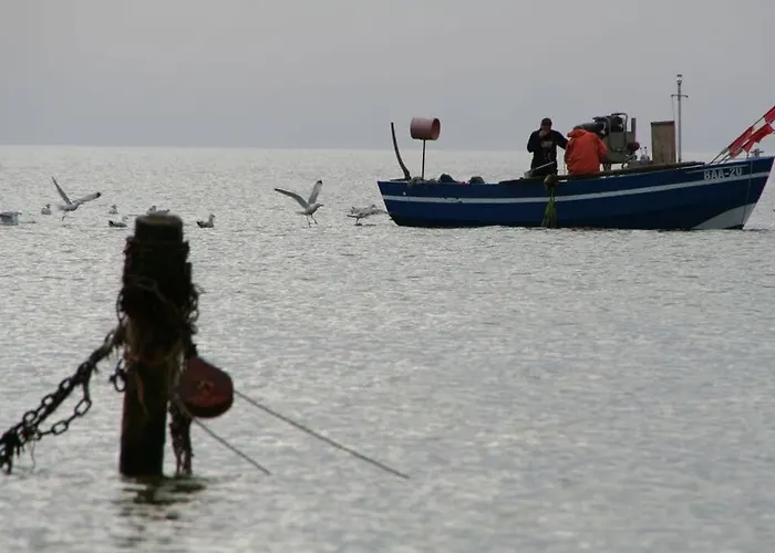 Strandhus - House 2 Apartment